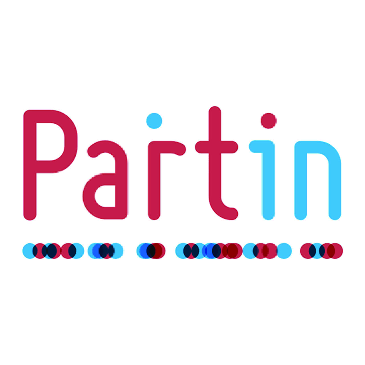 Partin Netherlands logo